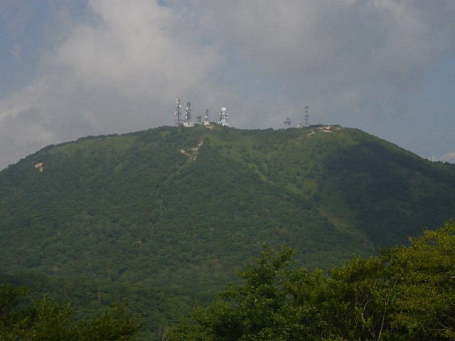 d0010065_16322970.jpg