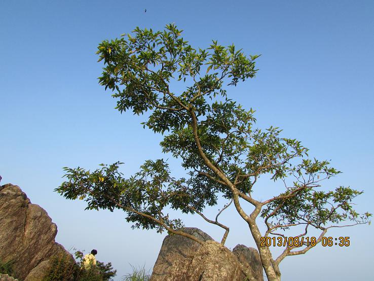 f0016066_10451875.jpg