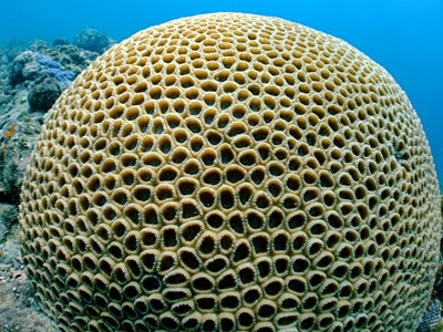 b0033573_15555973.jpg