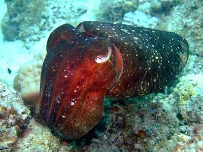 b0033573_15562556.jpg