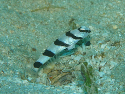 b0033573_15564762.jpg