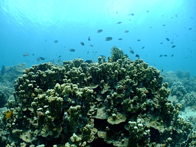 b0033573_1556722.jpg