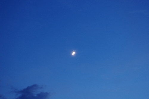 f0054677_70765.jpg
