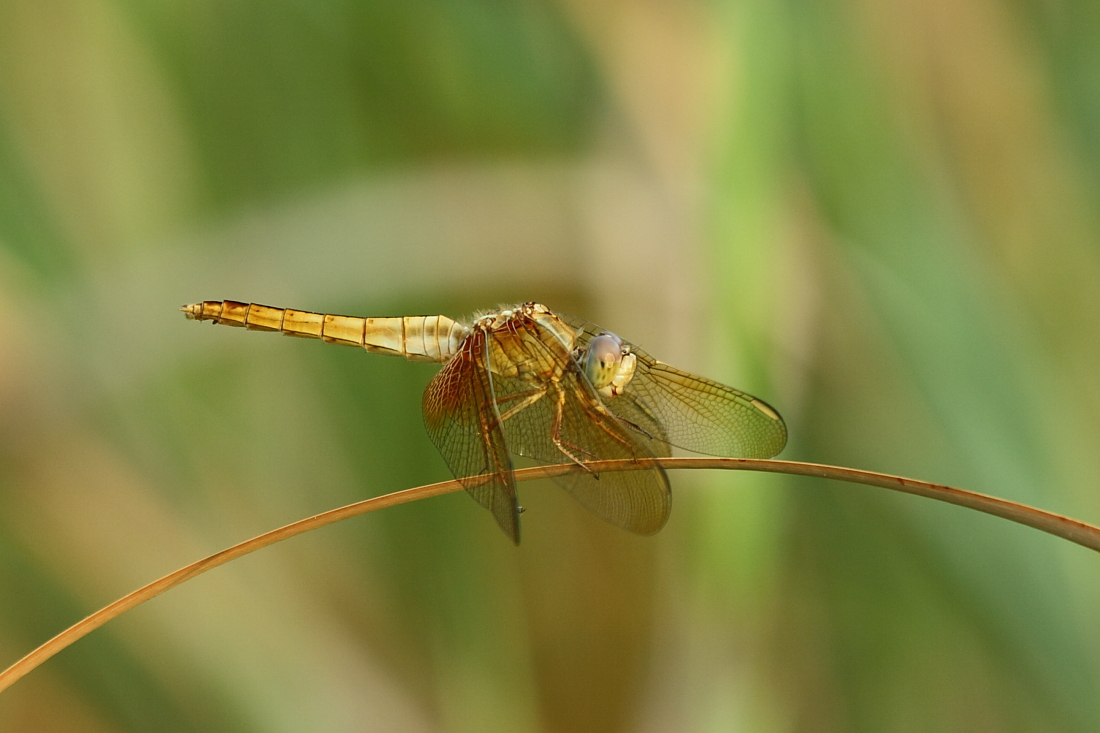 e0249878_2239264.jpg
