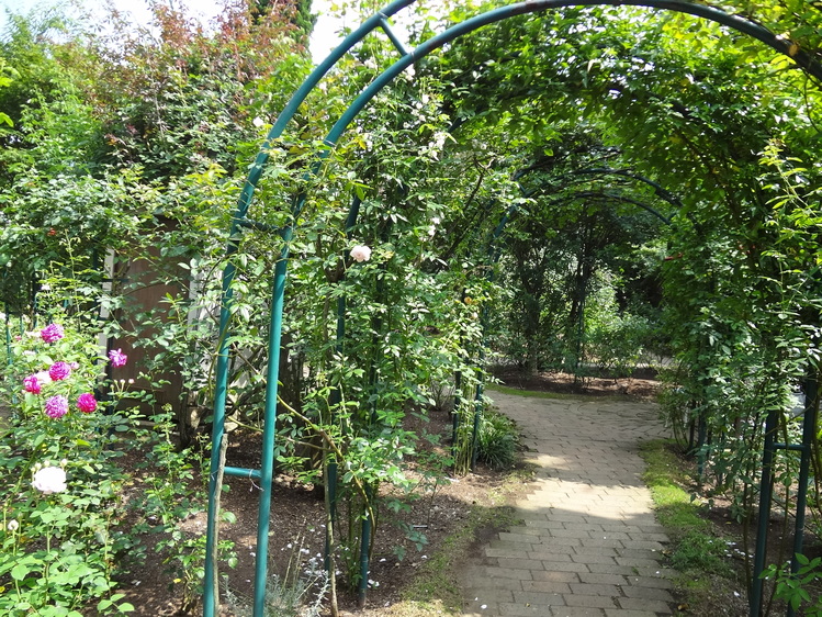 e0227680_13255811.jpg