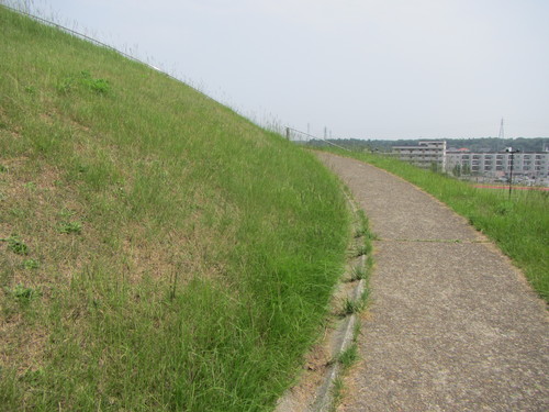 a0251786_21194079.jpg