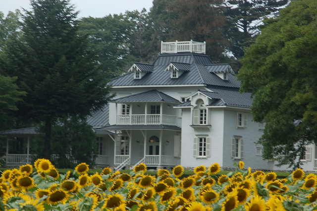 b0203588_18756.jpg