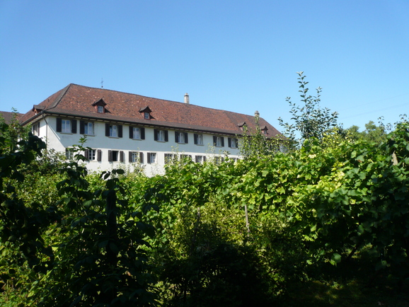 a0147890_2363216.jpg
