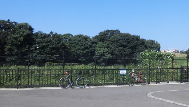 e0107493_21334215.jpg