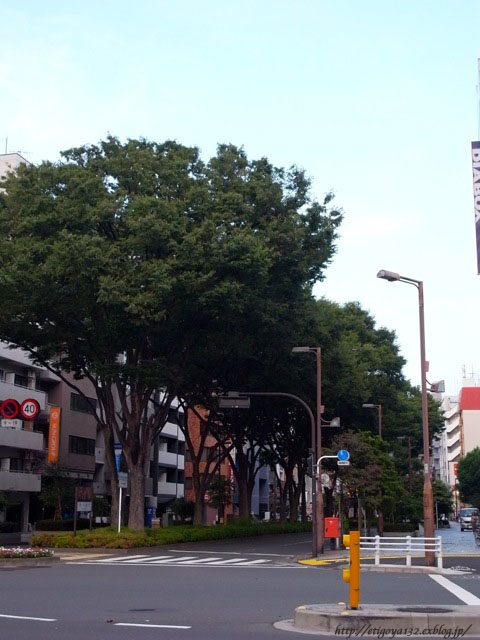 e0250594_1855934.jpg