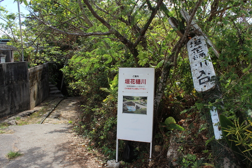 a0302398_1322525.jpg