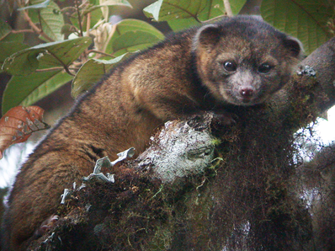 c0072801_30276.png