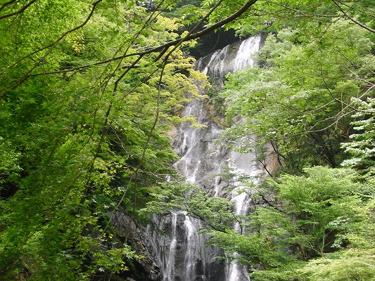 f0187402_23552956.jpg