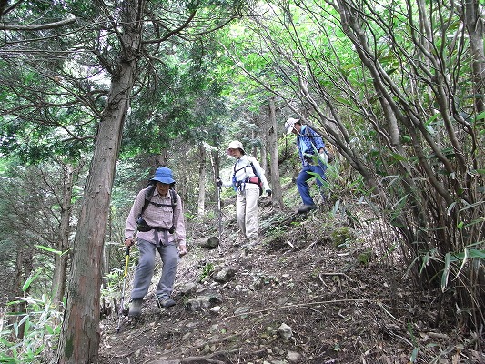 f0187402_23562712.jpg