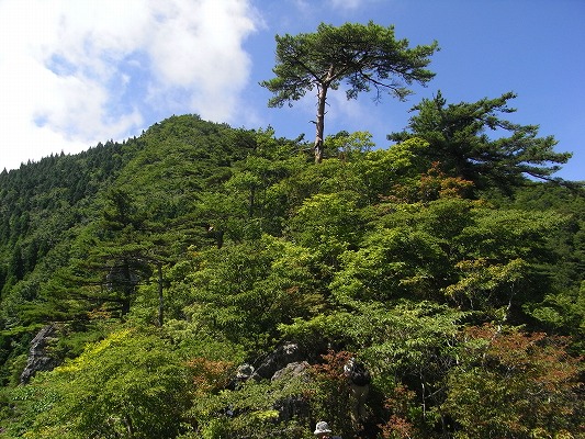 f0187402_23572984.jpg