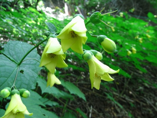 f0187402_23581317.jpg