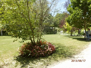 d0013610_6142211.jpg
