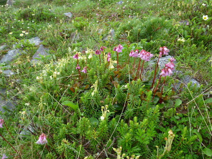 d0170615_19531475.jpg