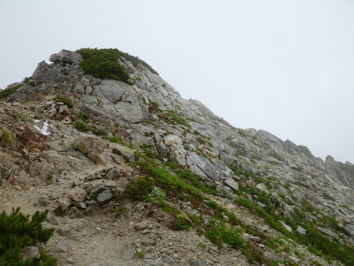 d0170615_19552766.jpg
