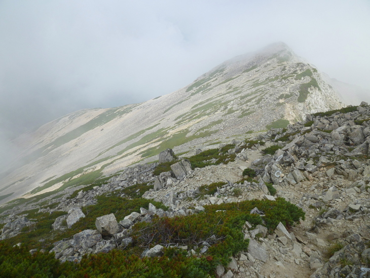 d0170615_19555185.jpg