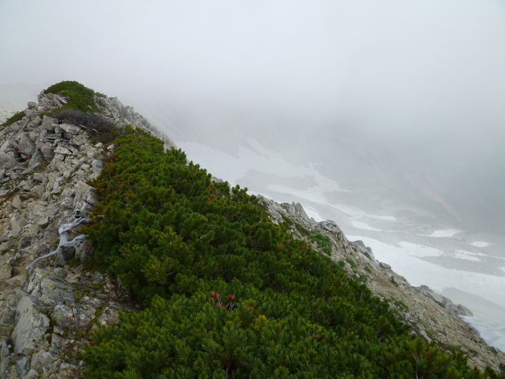 d0170615_1956125.jpg