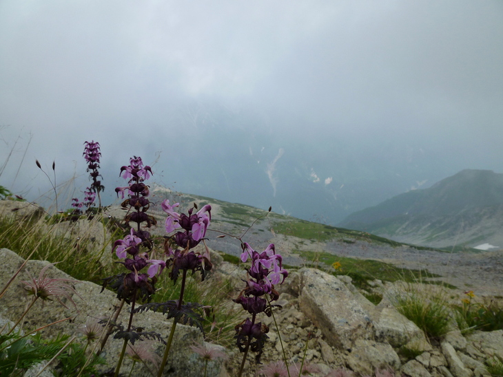 d0170615_19582556.jpg