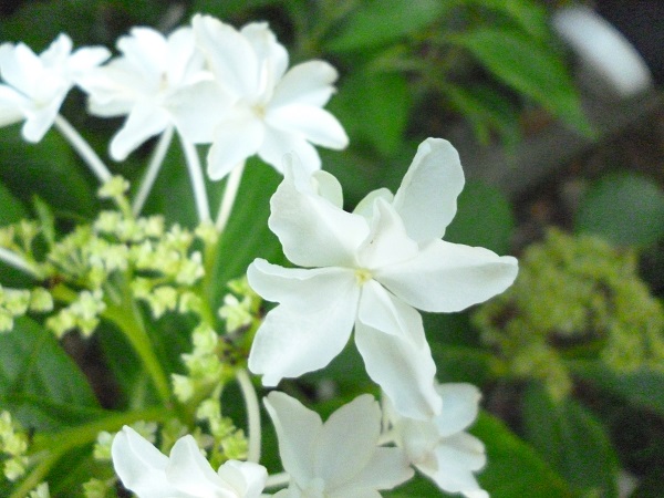 f0228619_85057100.jpg