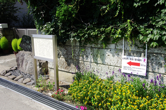 d0250028_16564840.jpg