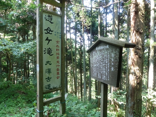 e0033229_20402034.jpg