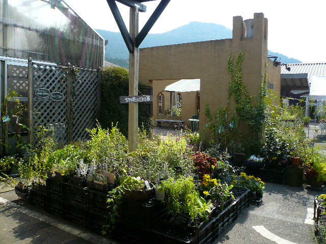 a0162330_10132944.jpg