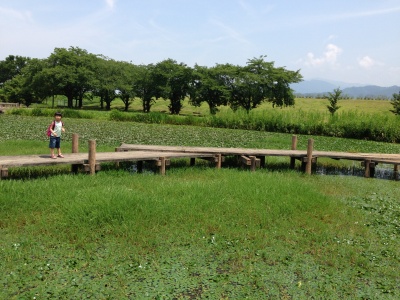 b0132630_2247184.jpg