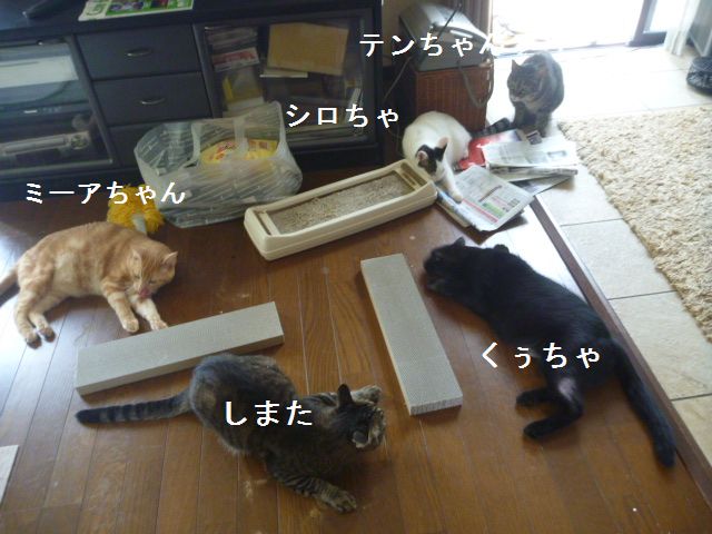 e0142430_1029097.jpg