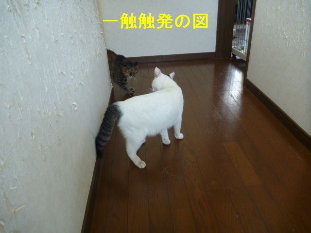 e0142430_10304033.jpg
