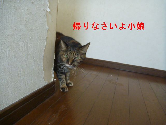 e0142430_10305866.jpg