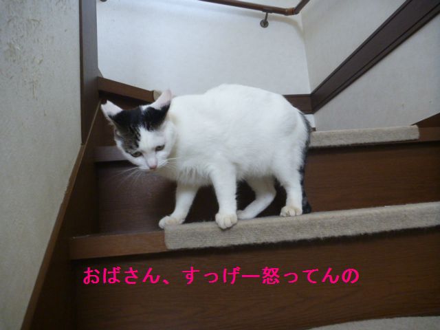e0142430_10311476.jpg