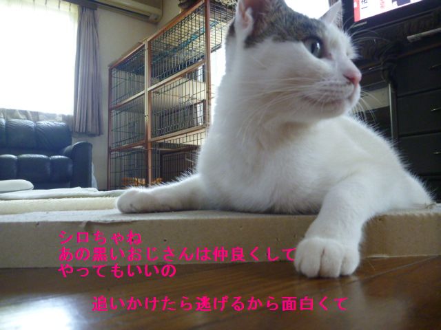 e0142430_10443952.jpg
