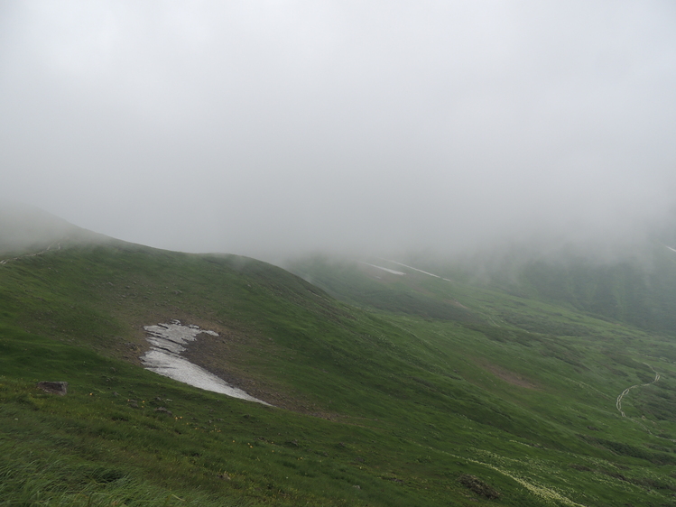f0118332_03284.jpg