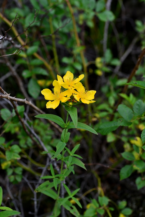 b0236334_2164797.jpg