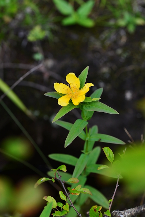 b0236334_216543.jpg