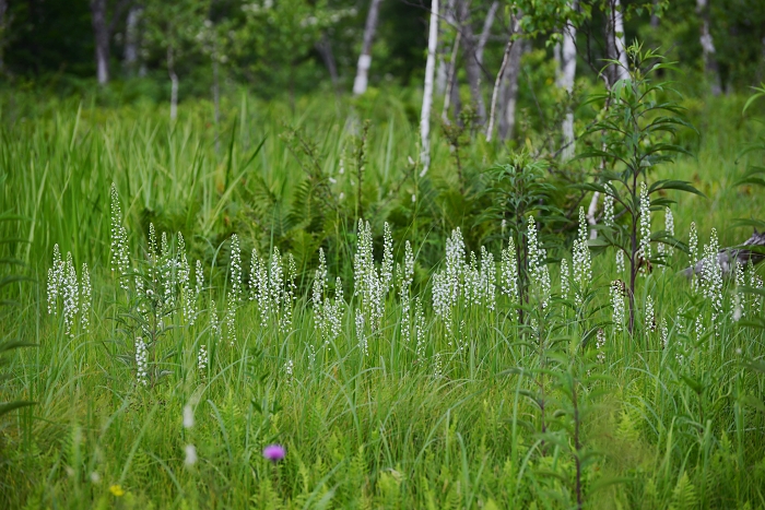 b0236334_217724.jpg