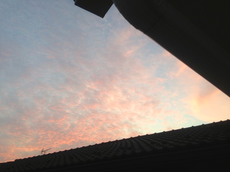 d0013834_133610.jpg