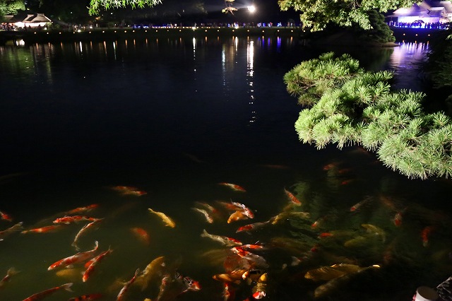 a0242438_18551789.jpg