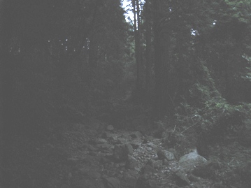c0077338_5551360.jpg