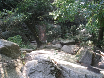 c0077338_5553480.jpg