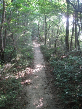 c0077338_556133.jpg