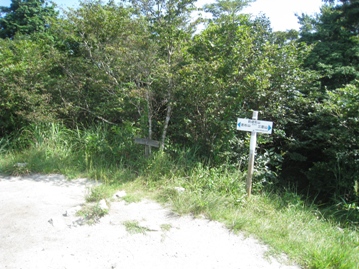 c0077338_556389.jpg