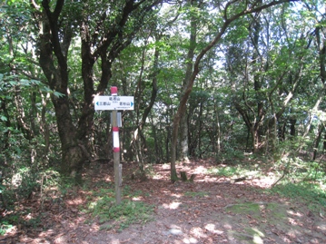 c0077338_5565739.jpg