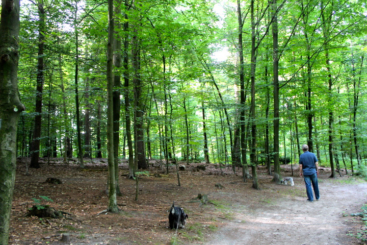 c0153740_19433918.jpg