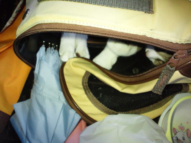 c0194042_21331057.jpg