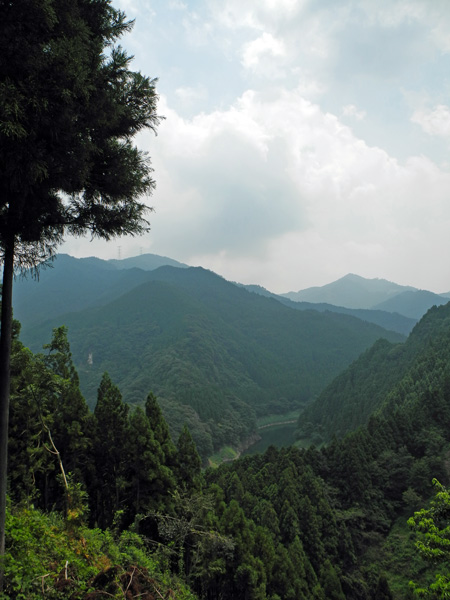 d0164443_210998.jpg